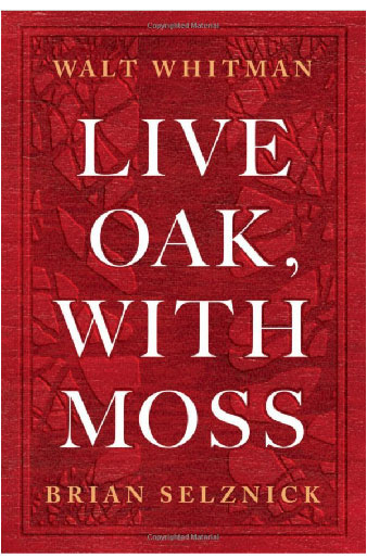Live Oak, With Moss